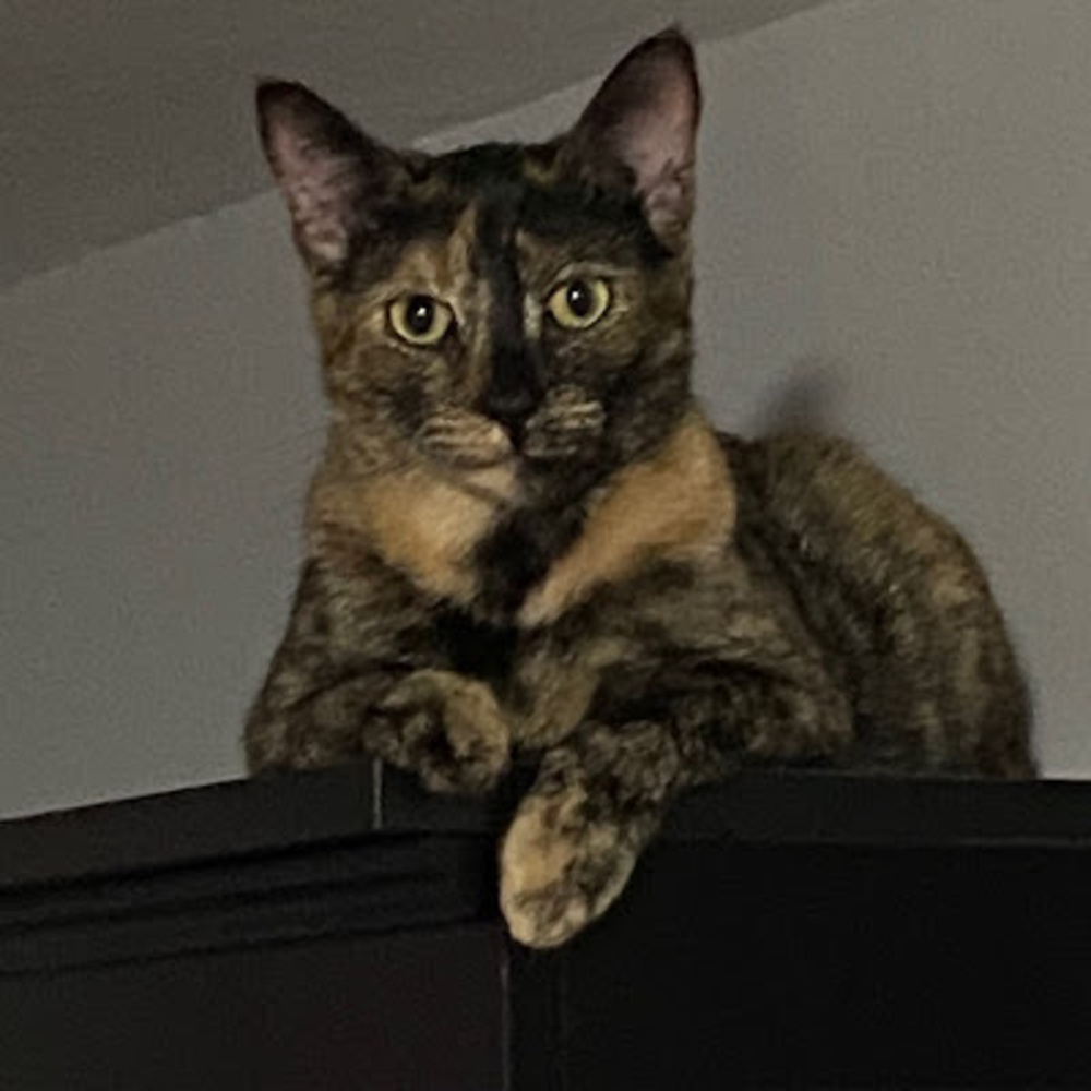 Meet your Posher, Olivia